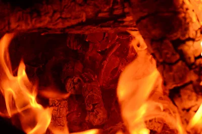 DSC_0121 (Large).JPG